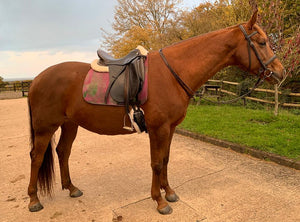 The Mono saddle pad