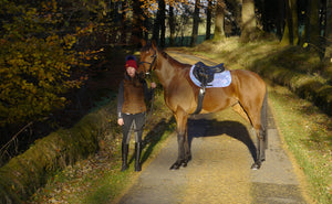 The Mono saddle pad